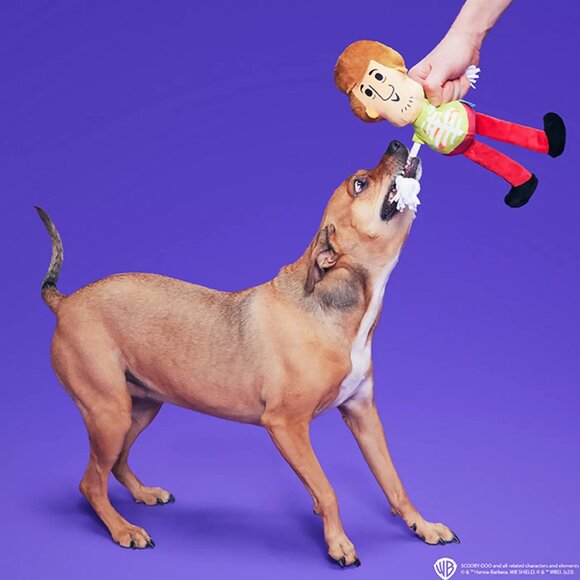 BARK Shaggy Skelly Dog Toy - NWT - Picture 1 of 3